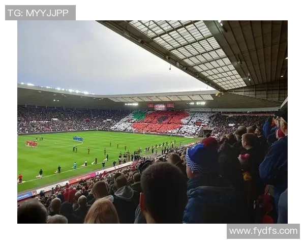 凯恩的传奇旅程：从绿茵场到足球历史的巅峰之路